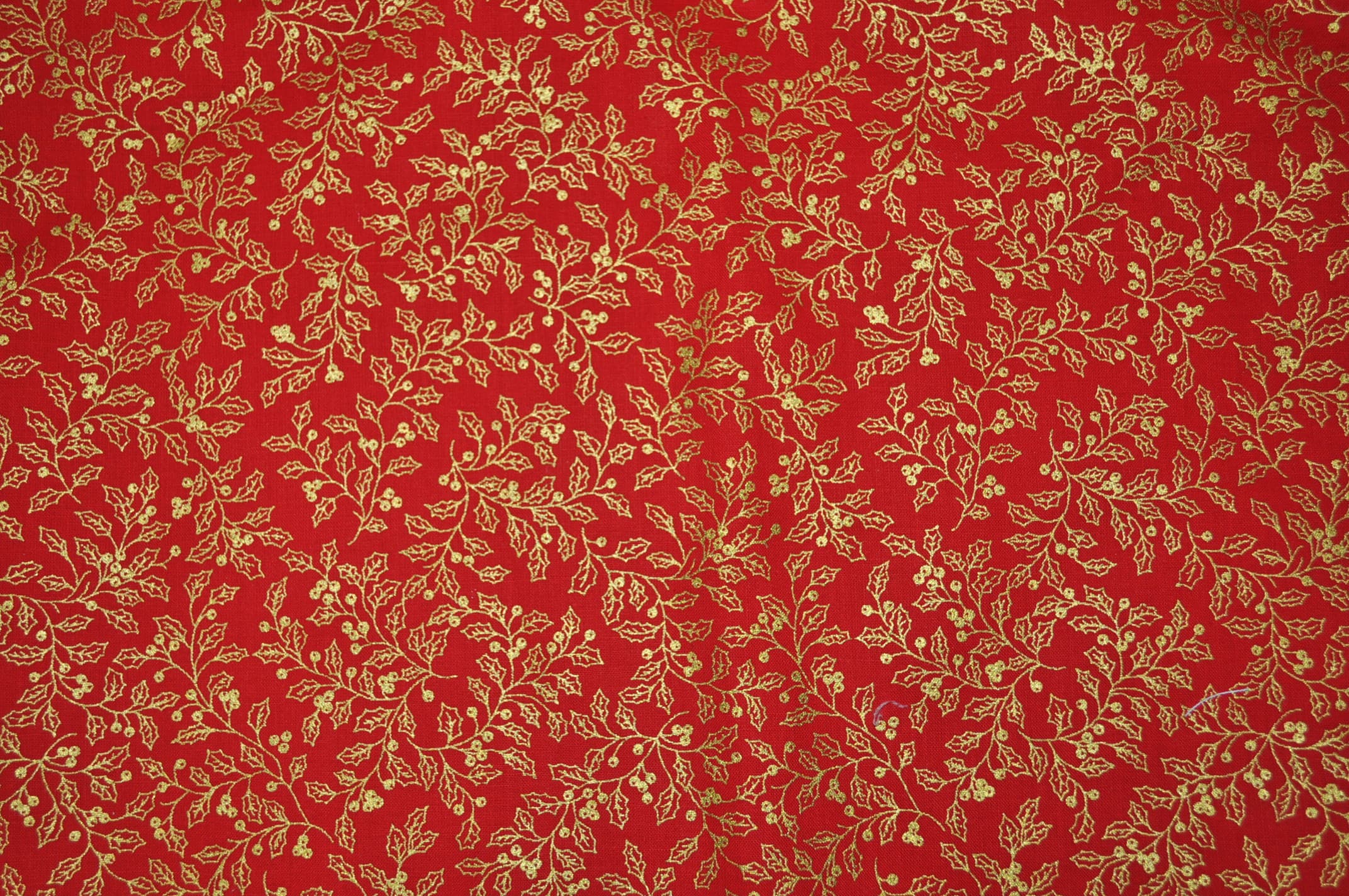 Christmas Holly