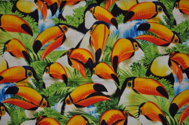 Happy Toucans