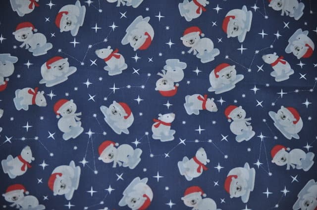 Polar Bears On Navy