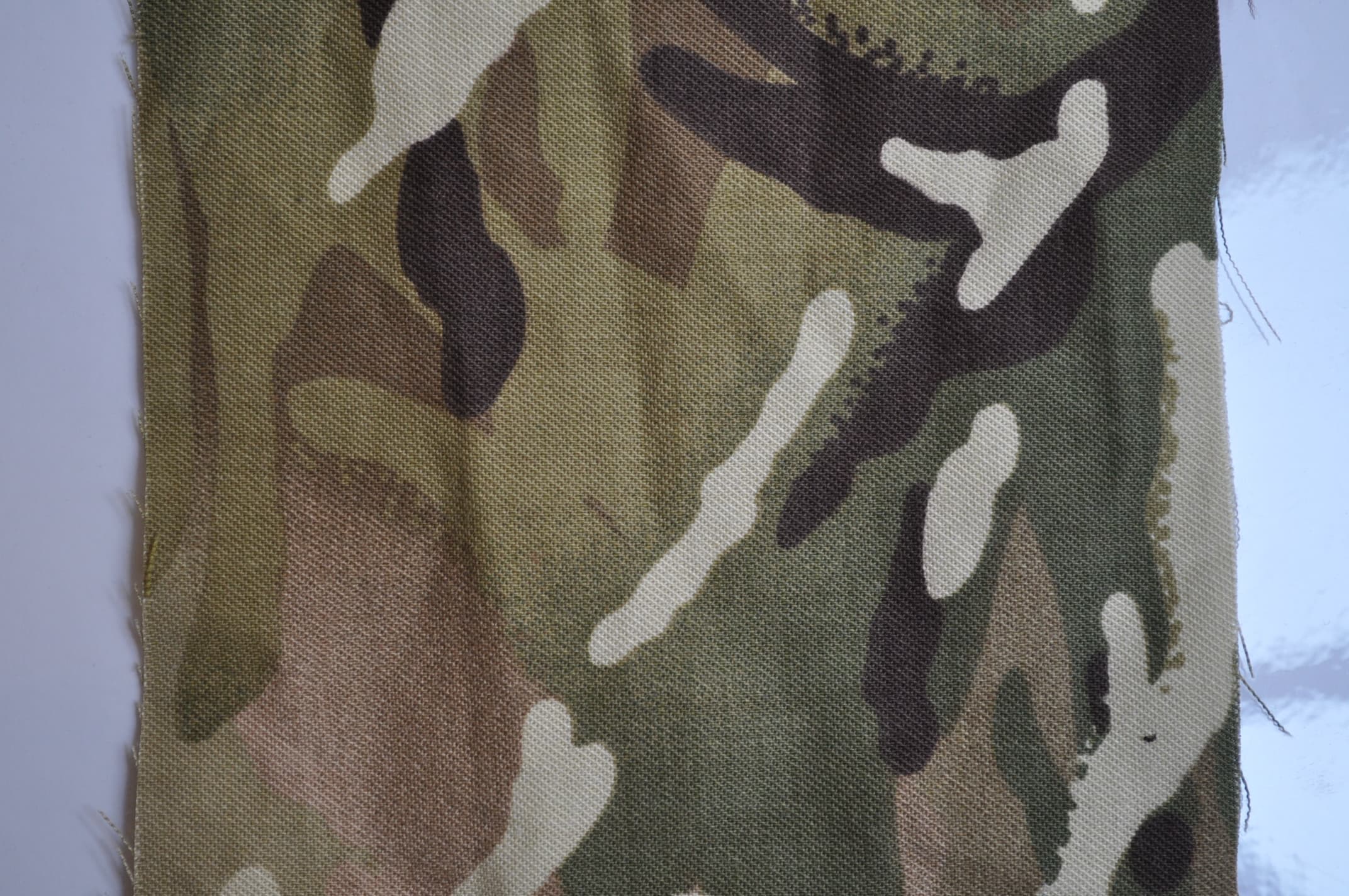 Temperate Cammo