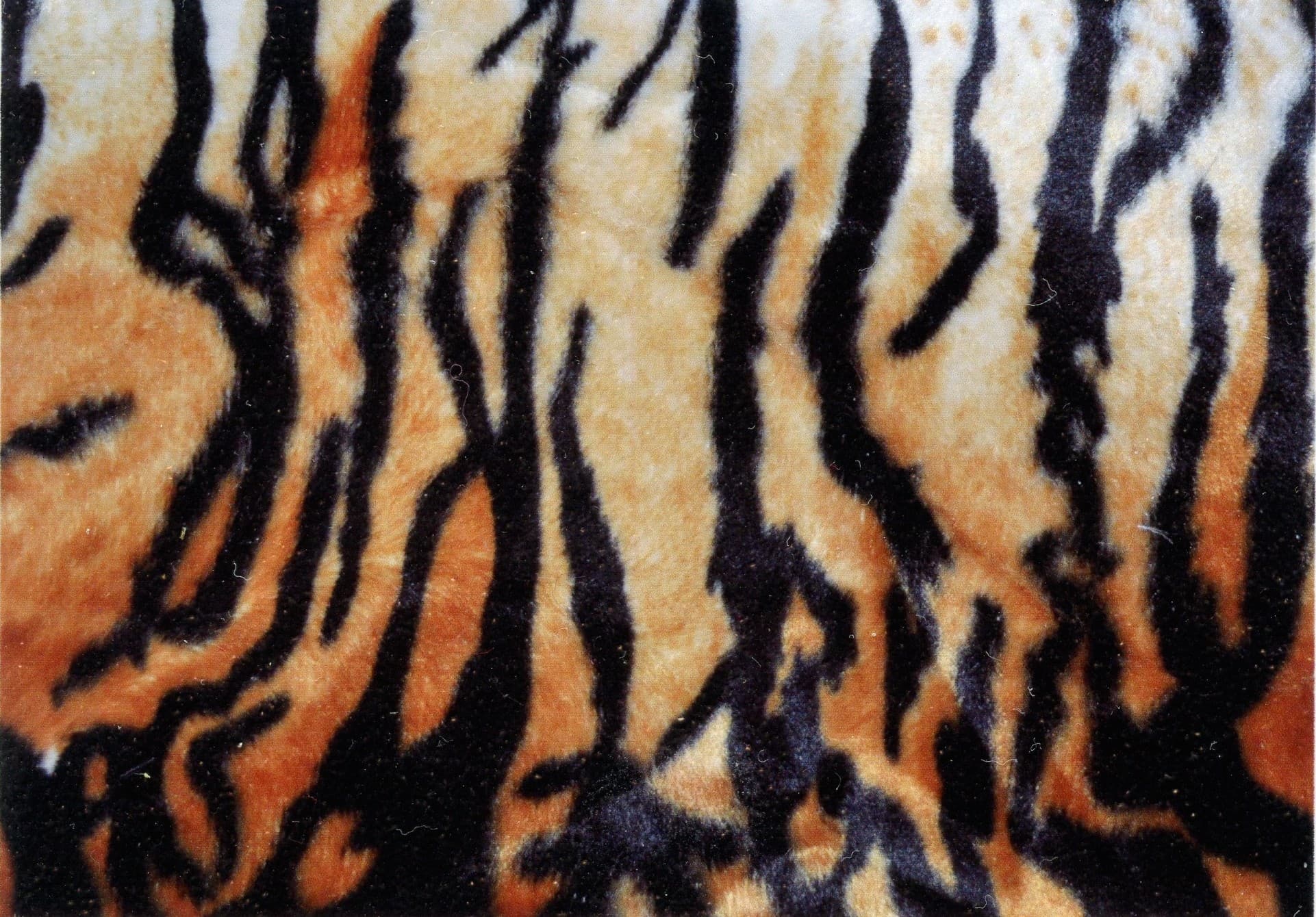 Tiger Stripes